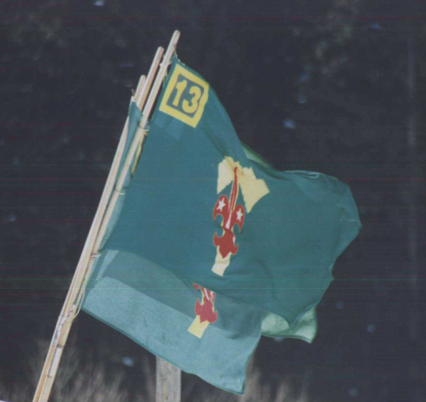 Traditional Green Scouting Flag of the Europascouts